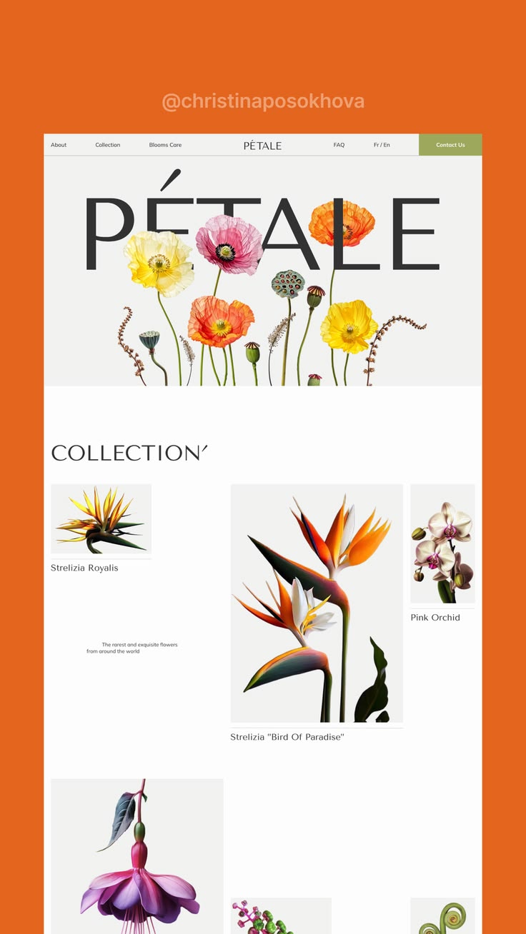 Luxury Botanical Specimen Lookbook