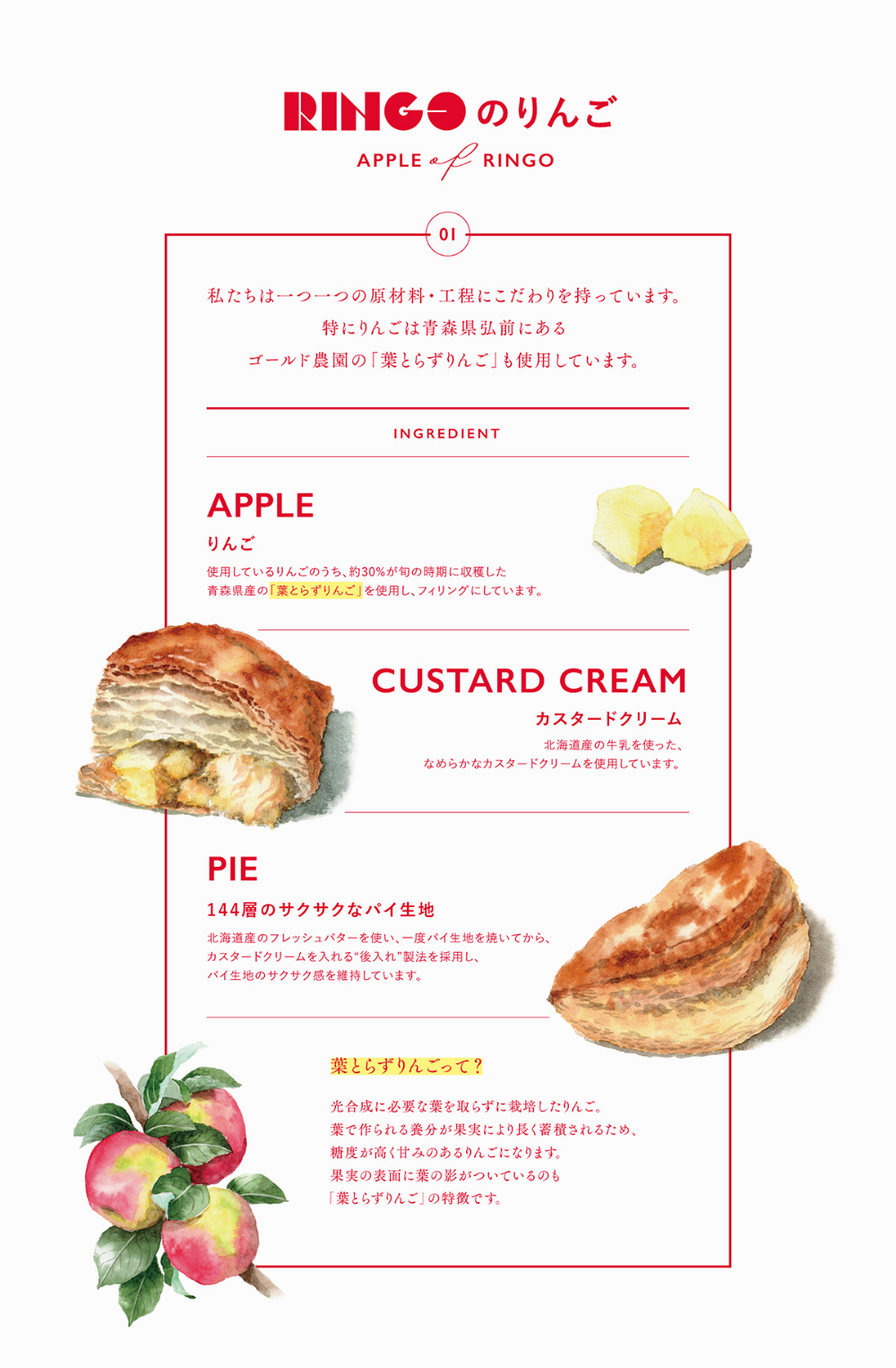 Japanese Watercolor Pastry Recipe